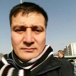 Dima