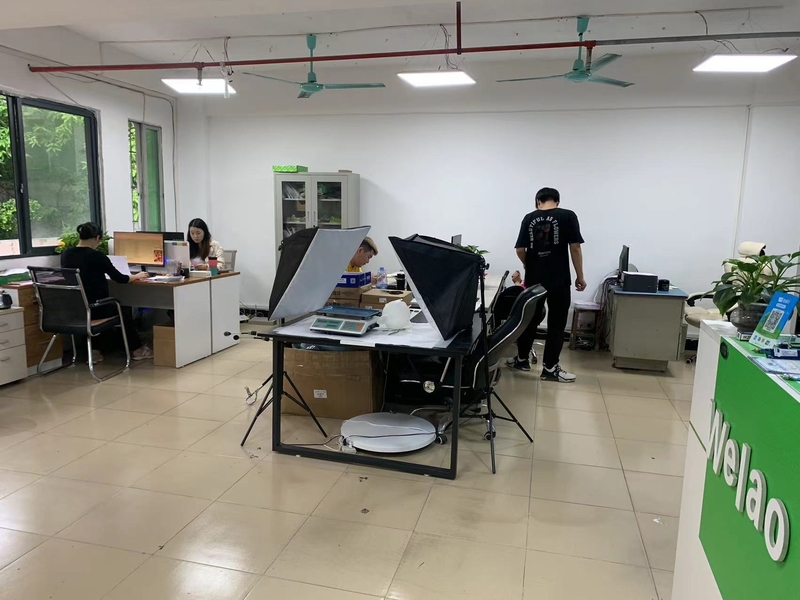 Guangzhou Shensheng Auto Parts Co.,Ltd